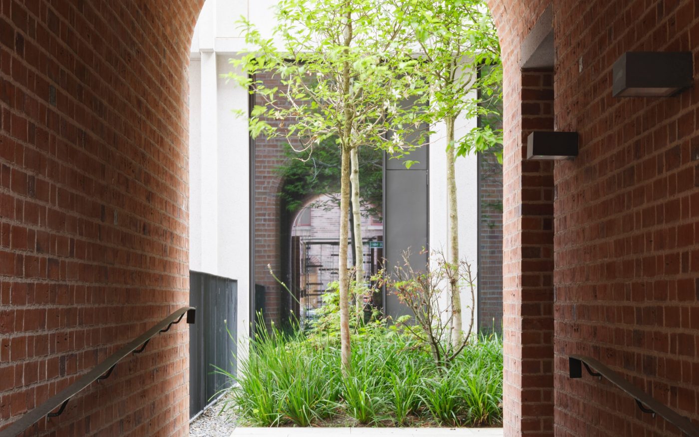 Tree and bedding plants in sunlit courtyard