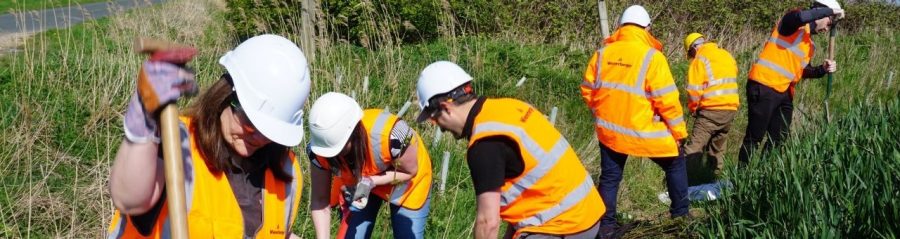 People in high visibility clothing working on biodiversity initiative