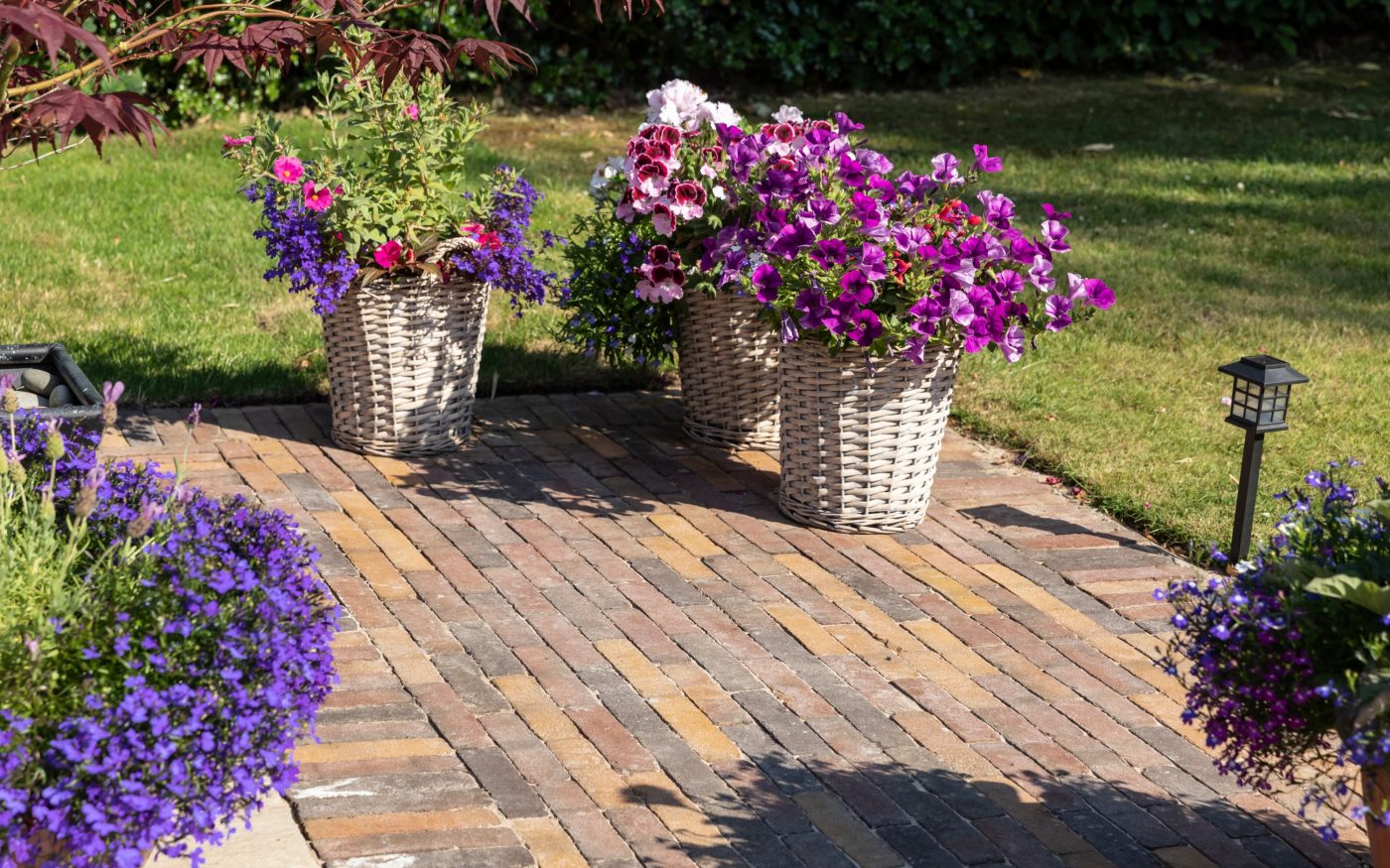 3 potted plants filled with colourful flowers on a patio