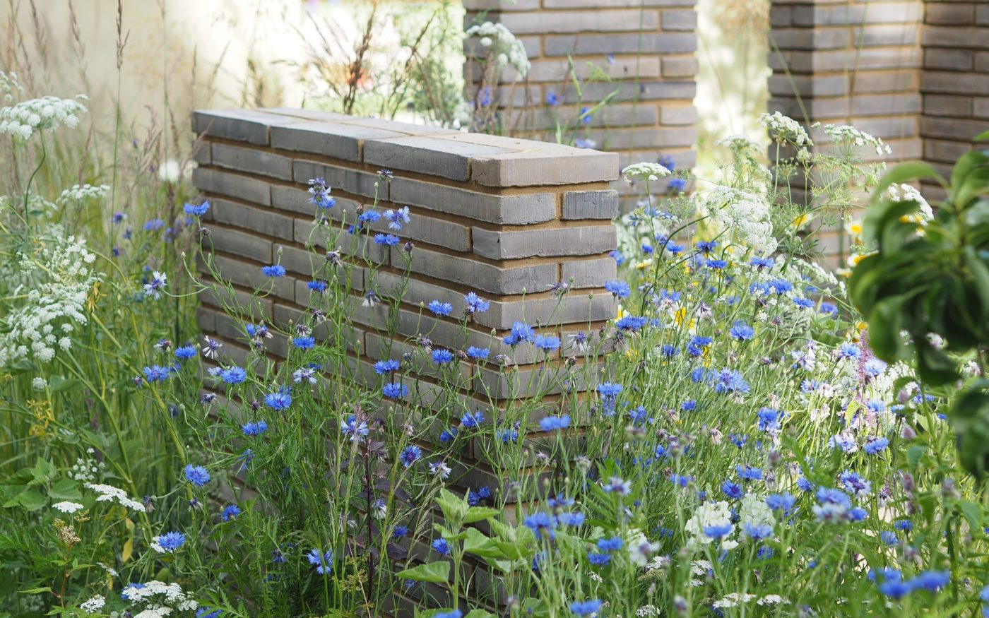 Blue flowers around a grey brick wall