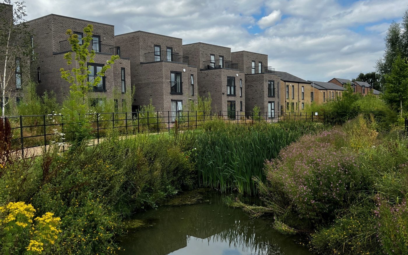 Pond outside newly developed residential project