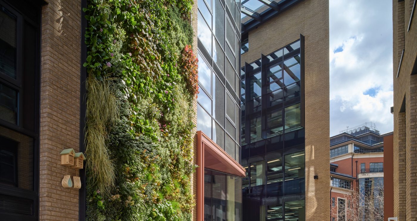 Living green wall on multi storey building