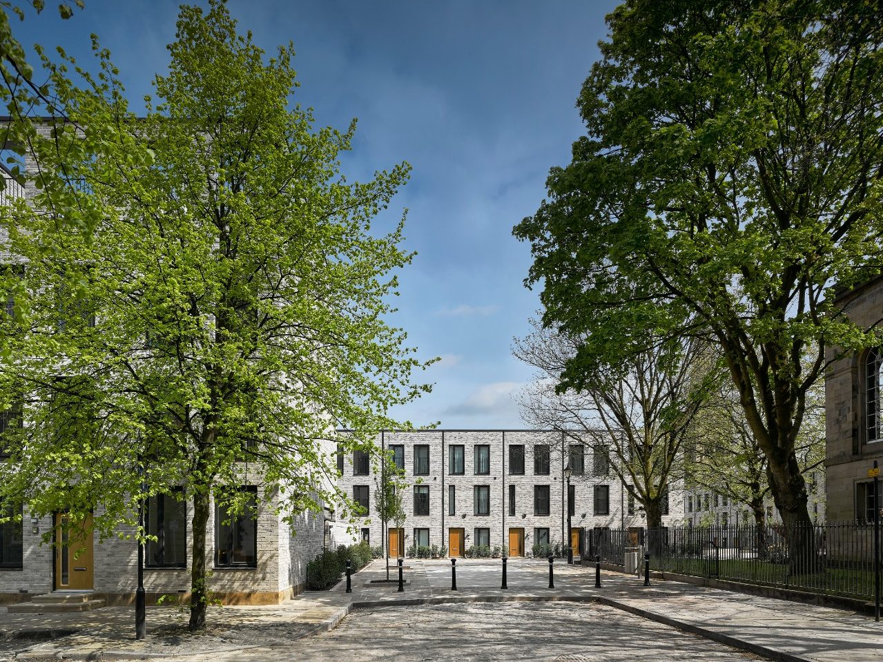 Trees outside modern terraced houses