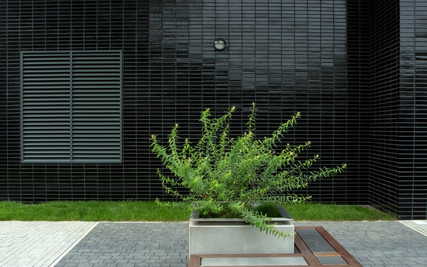 Black glazed bricks installed in a stack bond