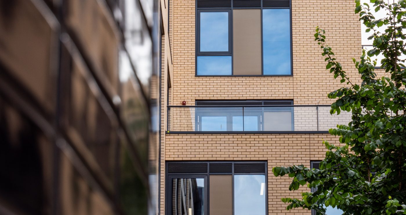 Tree in front of modern building with brick tile cladding facade