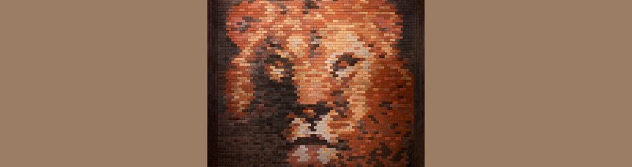 Lion Campaign Page Header No Text