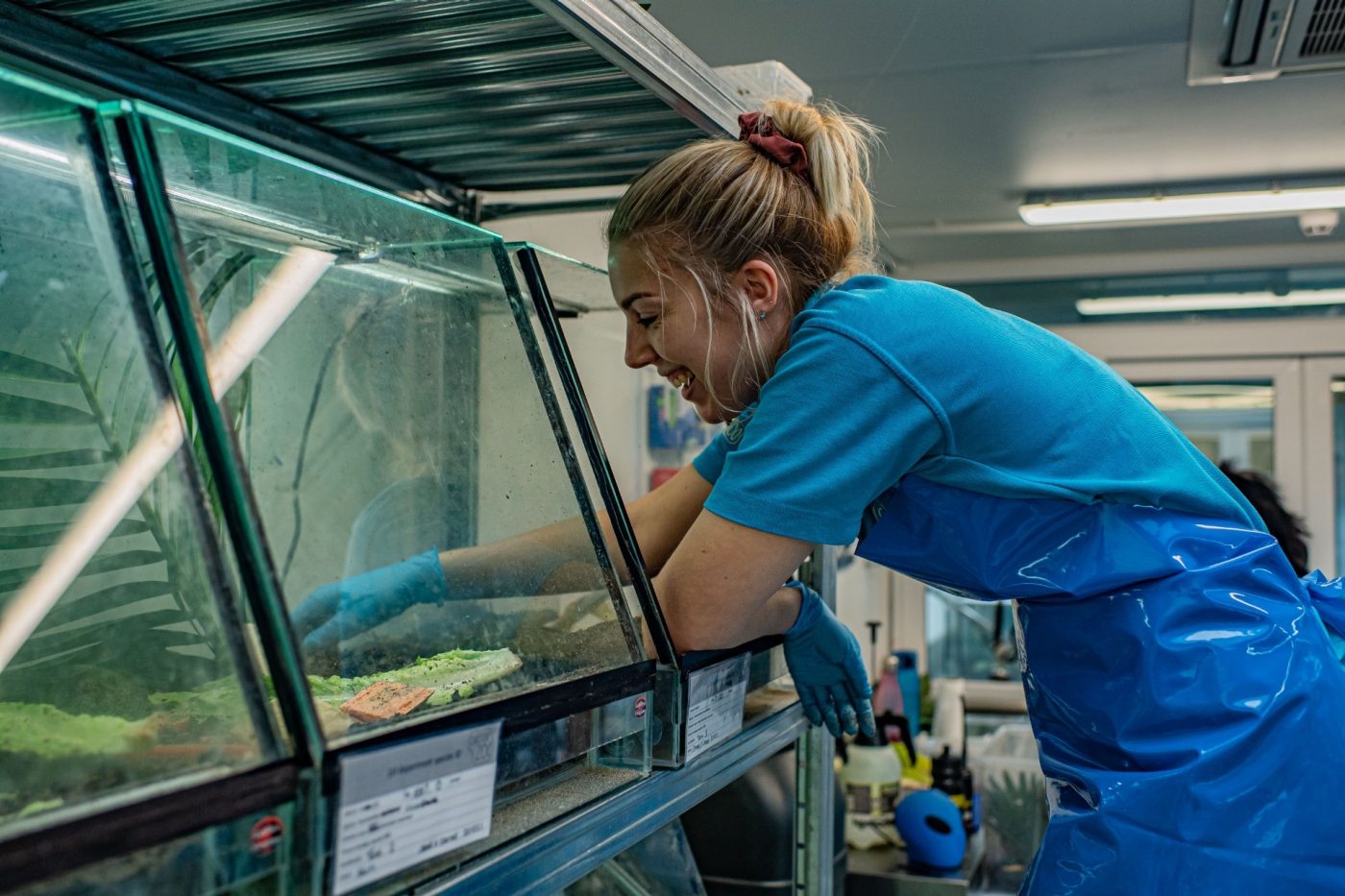 Chester Zoo: conservation efforts 
