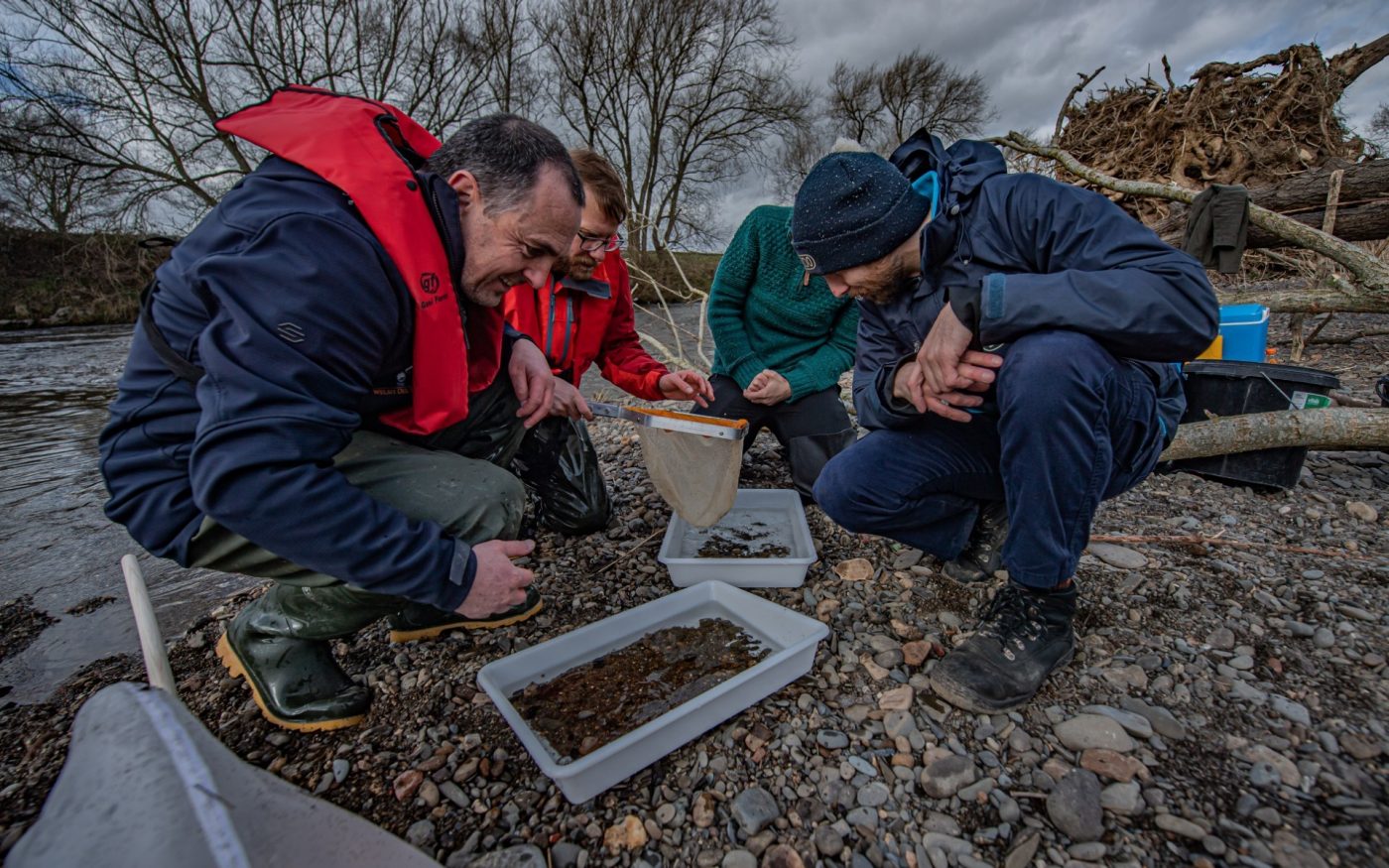 Chester Zoo: conservation efforts 