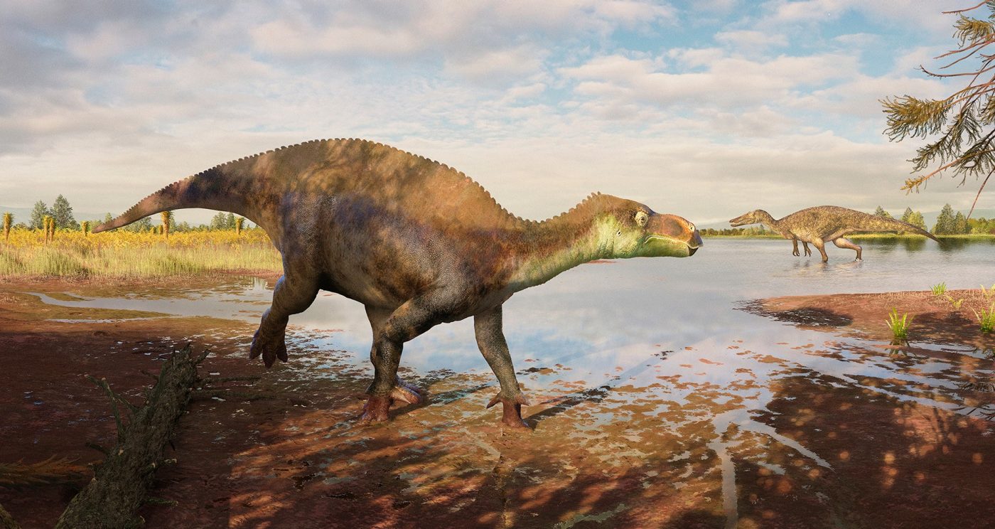 digital reconstruction of the dinasour found at ewhurst site