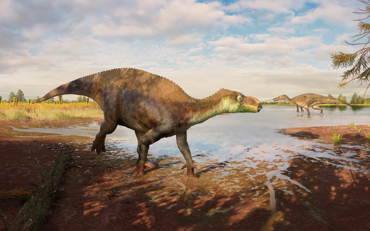 Digital dinosaur reconstruction