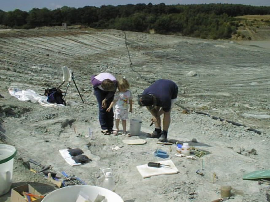 Will Proudlove's family at the ewhurst site looking at the dinosaur remains