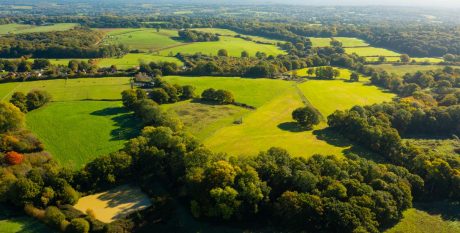 Aerial shot of green fields and woodlands around Ewhurst Factory