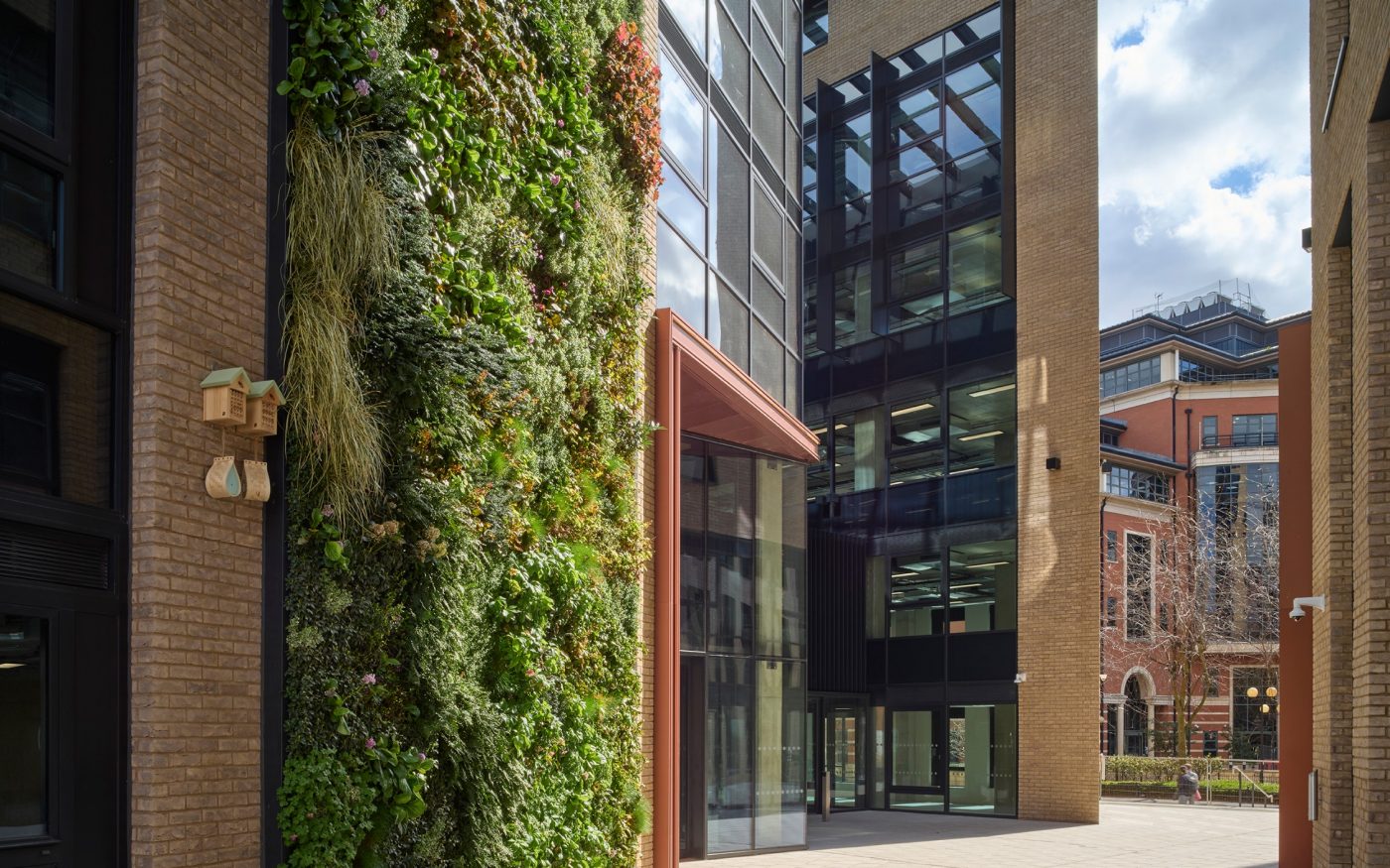intentionally designed green wall on the side of a tall city building promoting biodiversity