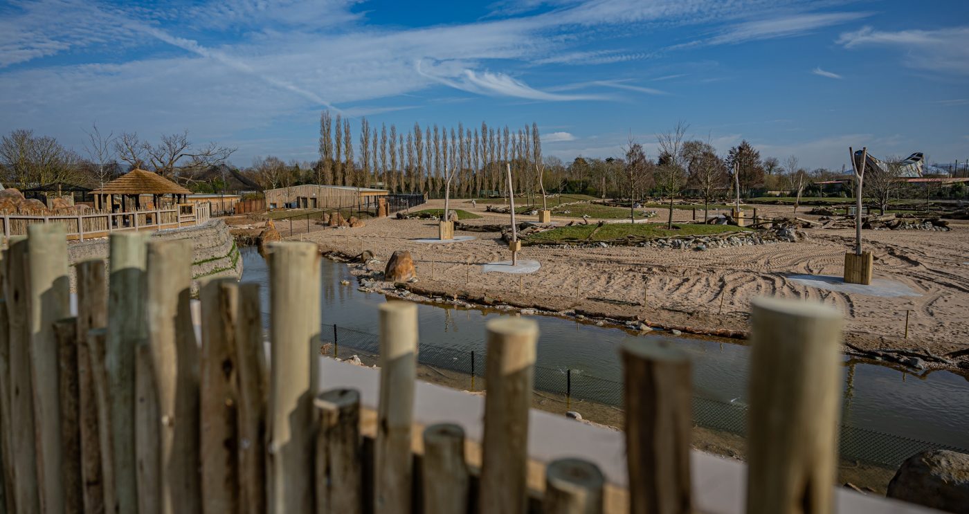 Chester Zoo: Heart of Africa