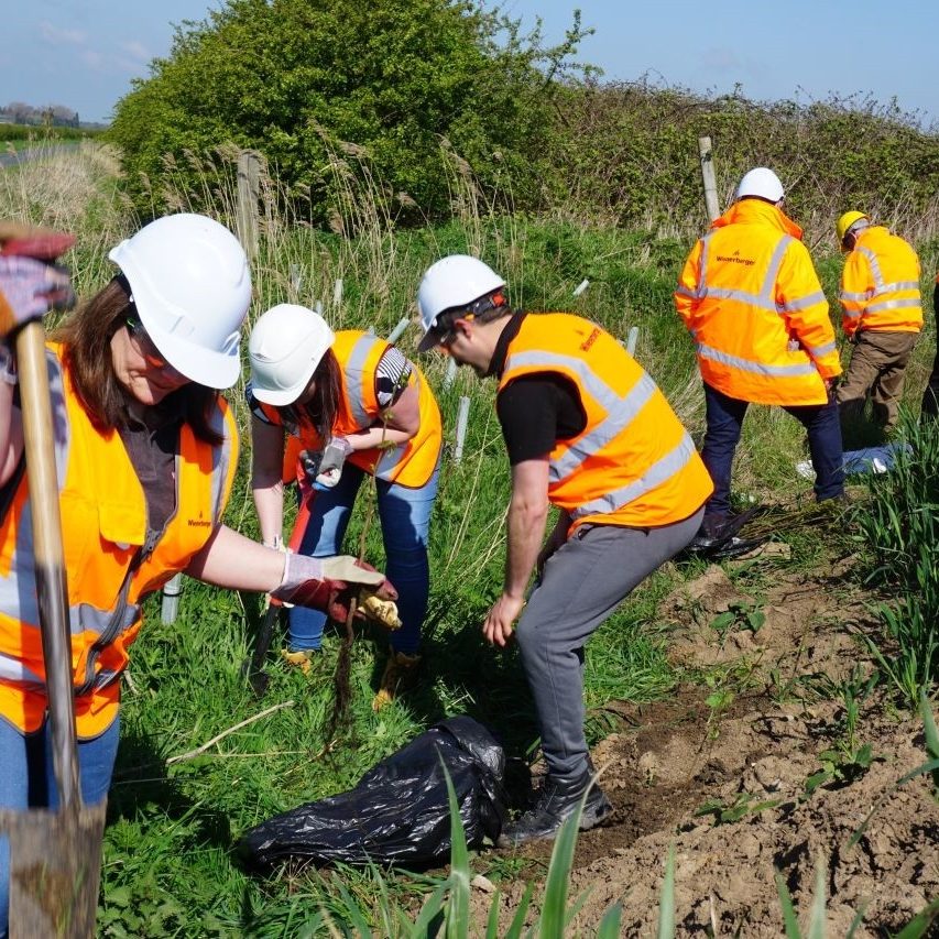 Colleagues in Hi-vis orange vests doing ground work