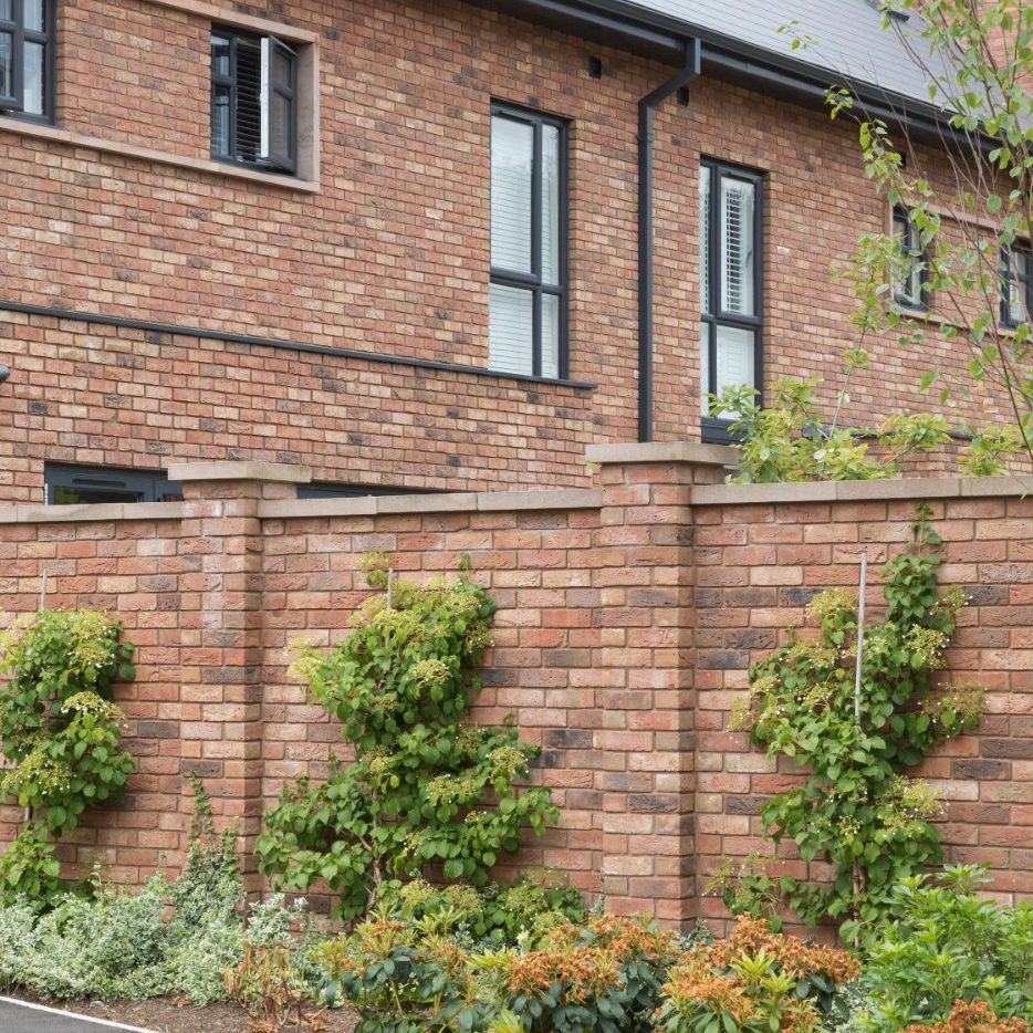 Landscaped area with shrubs and plants climbing up a brick wall
