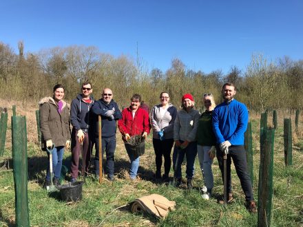 Planting trees in Stockport