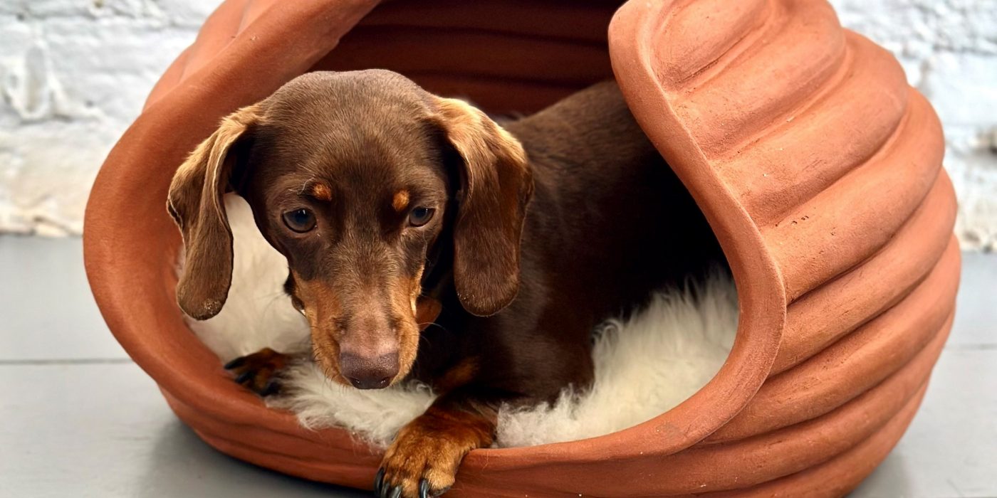 group of supertrowel competitors smiling