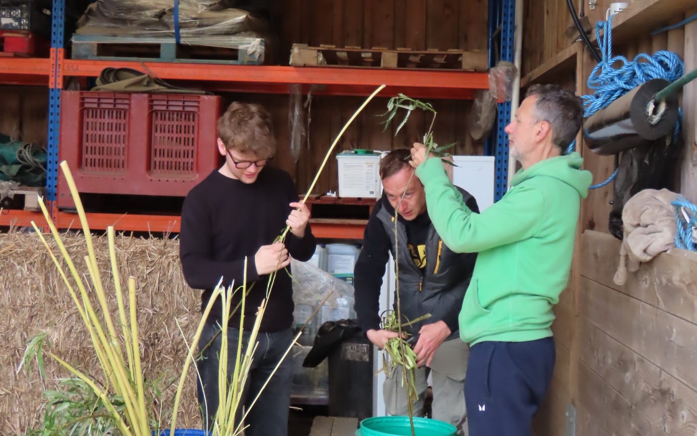 Three men volunteering at Chester Zoo
