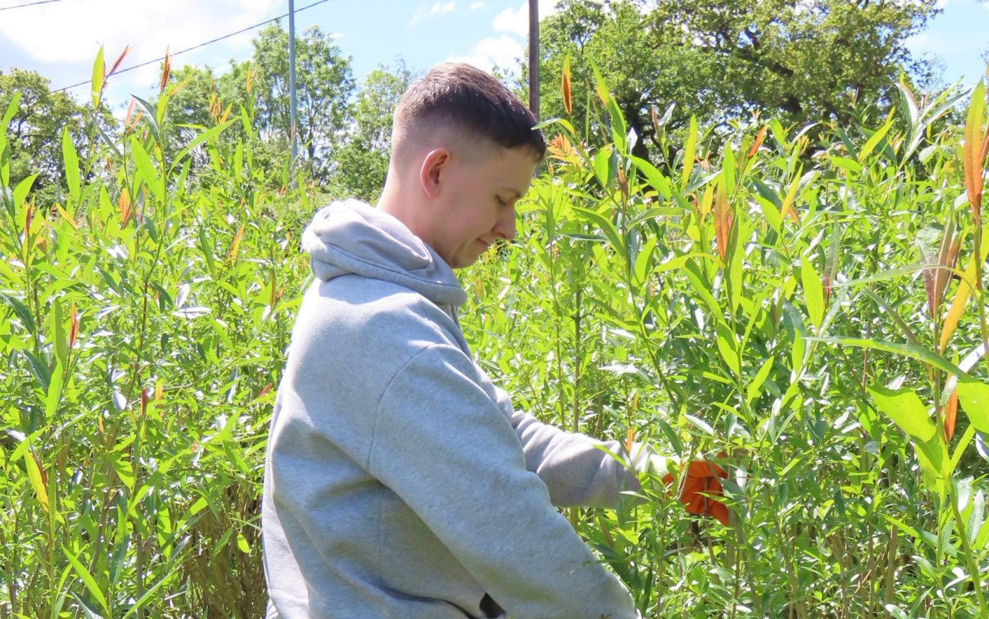 International Day for Biological Diversity: Chester Zoo