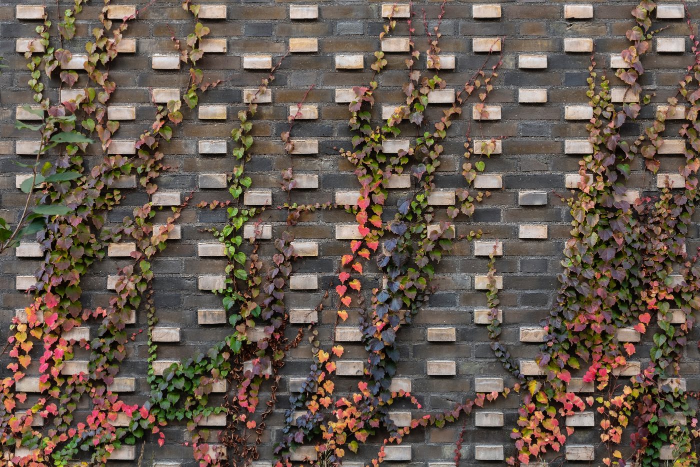 Iris Hus, Copenhagen, Facing Brick 2.1.91 Contignac & 2.7.83 Royal Night