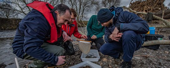 Group of Conservationist checking for endangered insects at a river in Wales