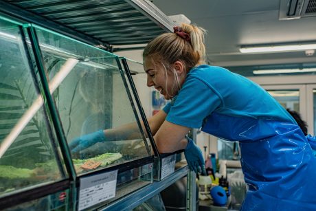 Chester Zoo conservationist checking on insect habitat