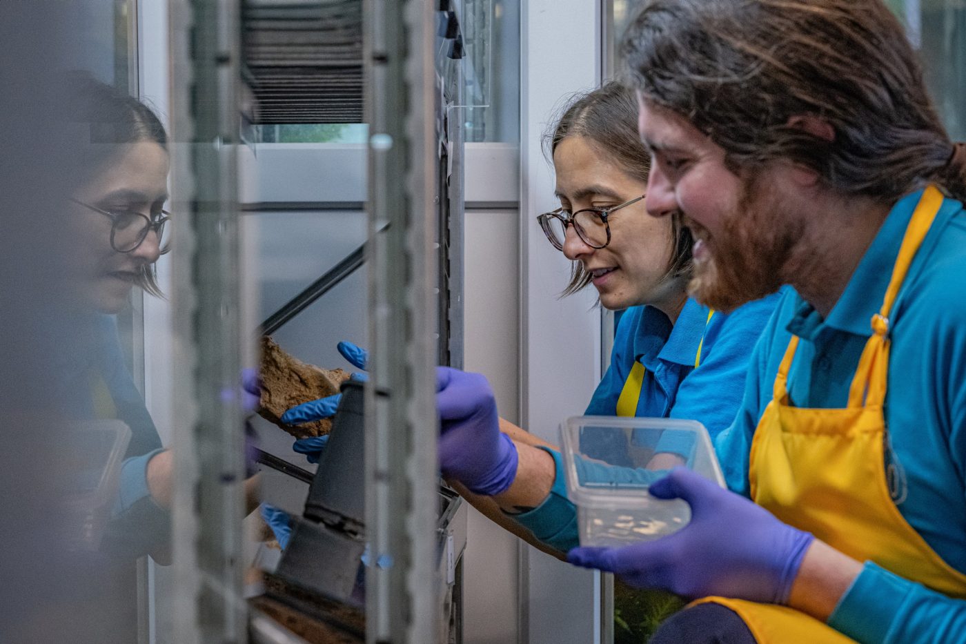 2 Chester Zoo workers looking into a glass insect habitat