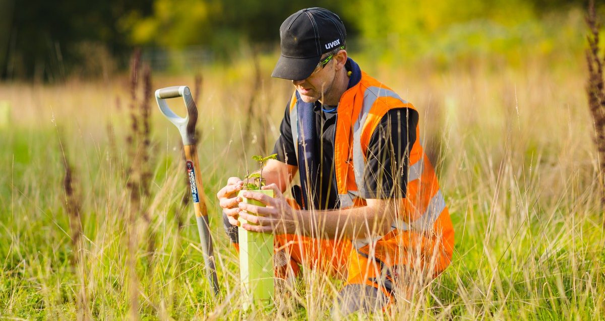Man in hi vis planting in a field