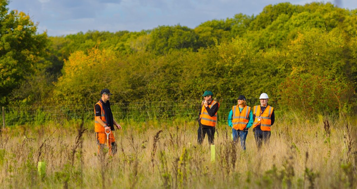 4 people in field with long grass wearing orange hi-vis jackets and hard hats