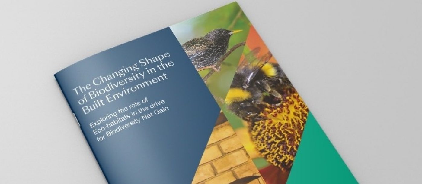 Front cover of biodiversity report: The Changing Shape of Biodiversity in the Built Environment