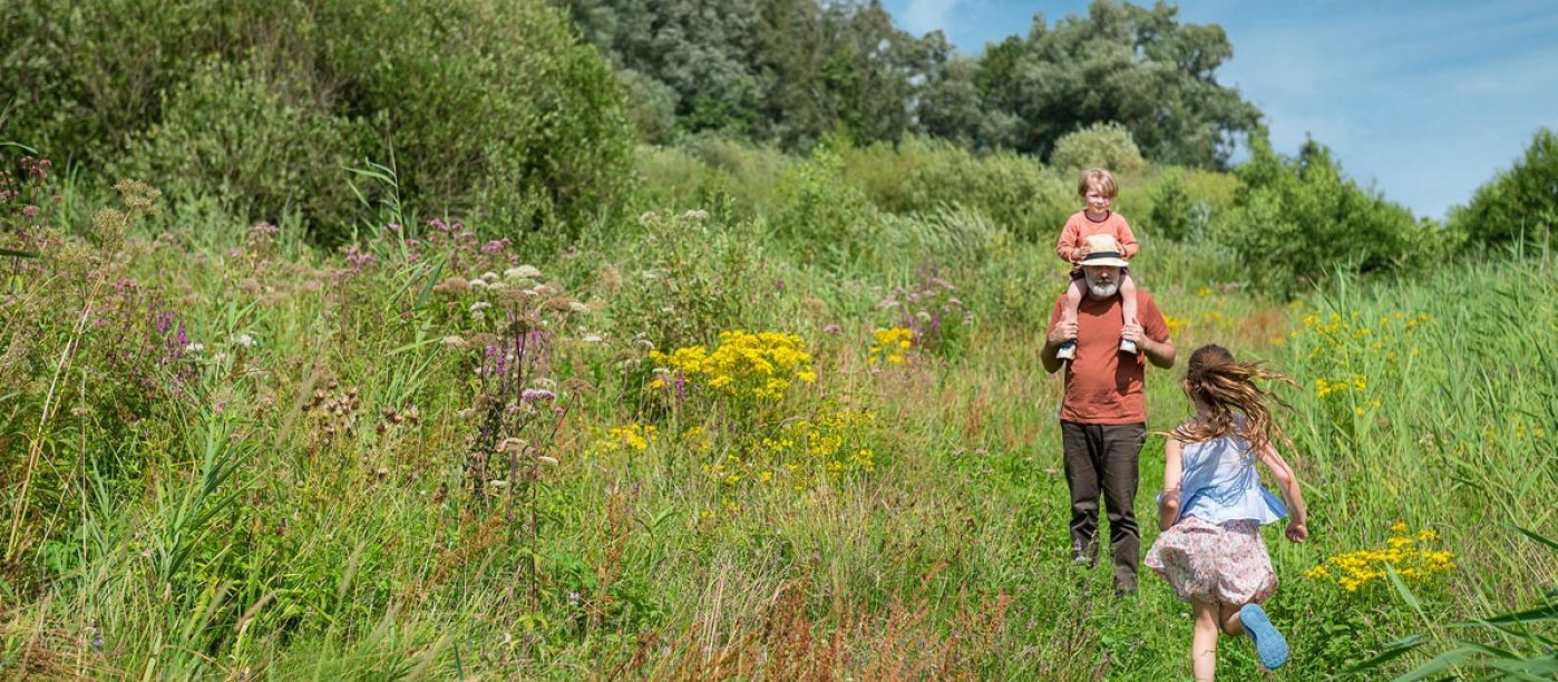 Man carrying child through wild meadow