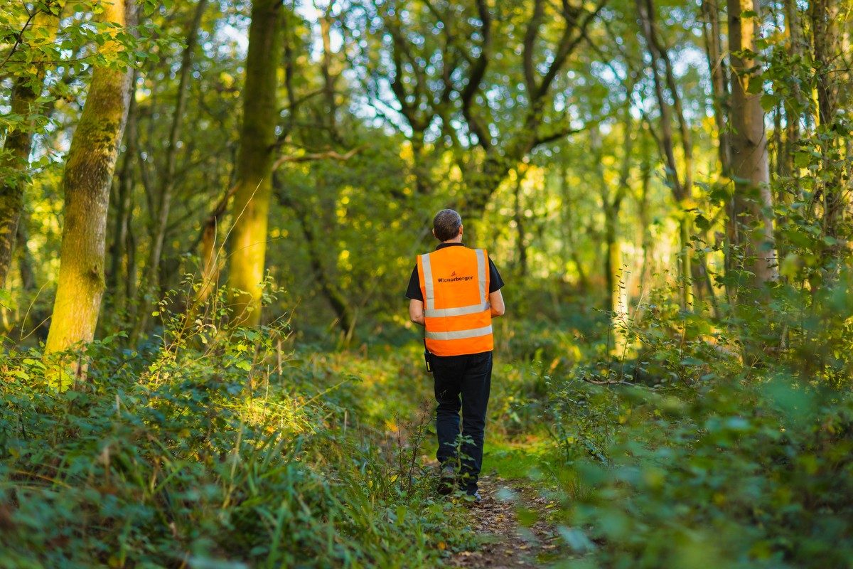Employee walking through woodland at Ewhurst site