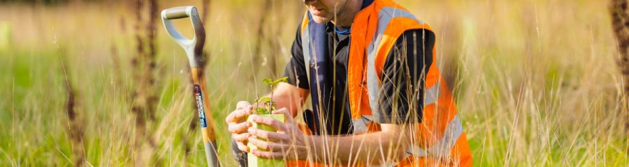 Employee planting tree at factory site