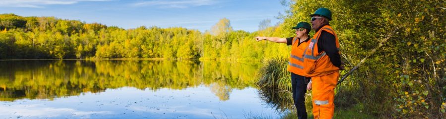 Two wienerberger employees looking out over lake and woodland