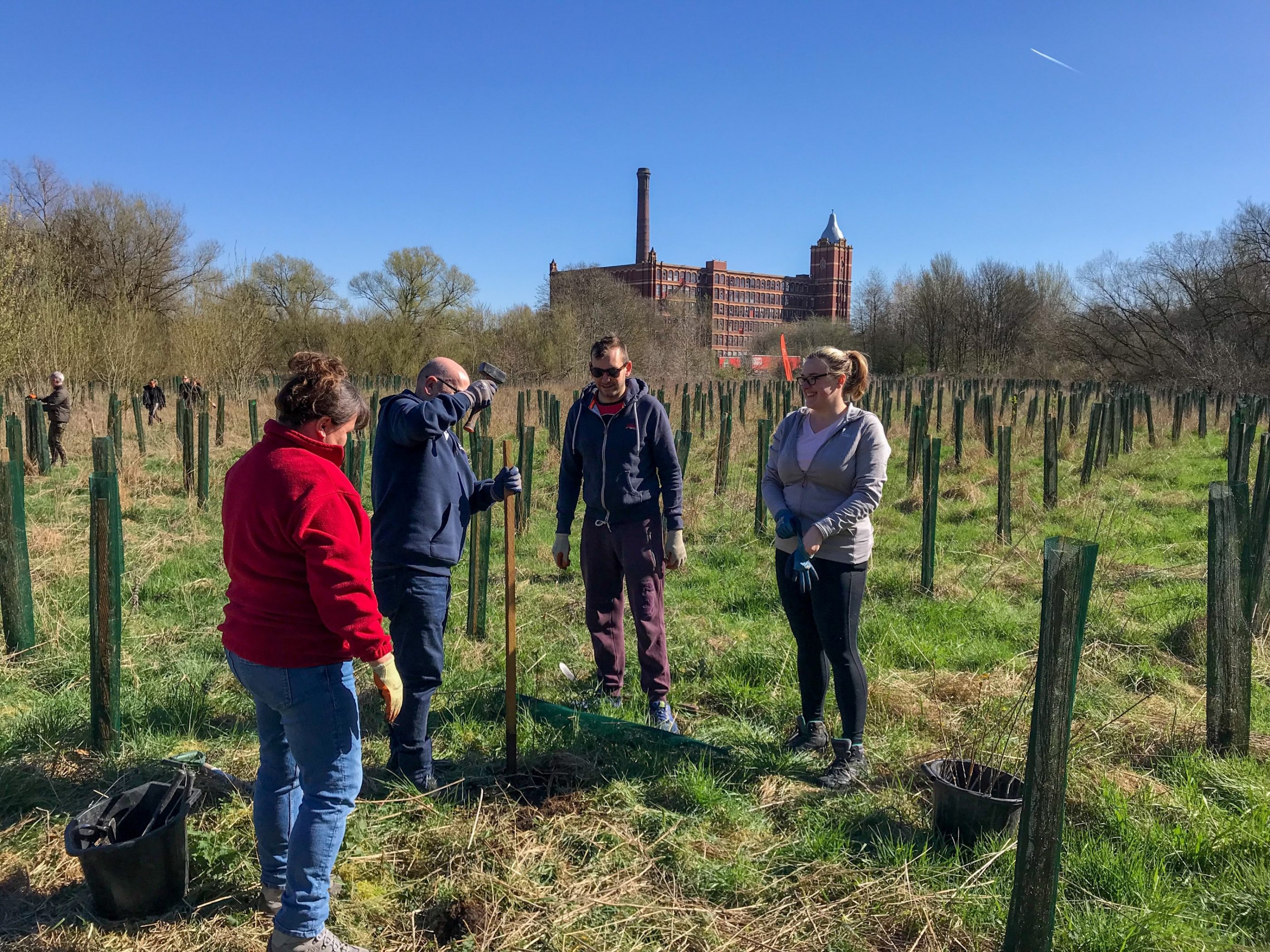 Volunteers planting trees