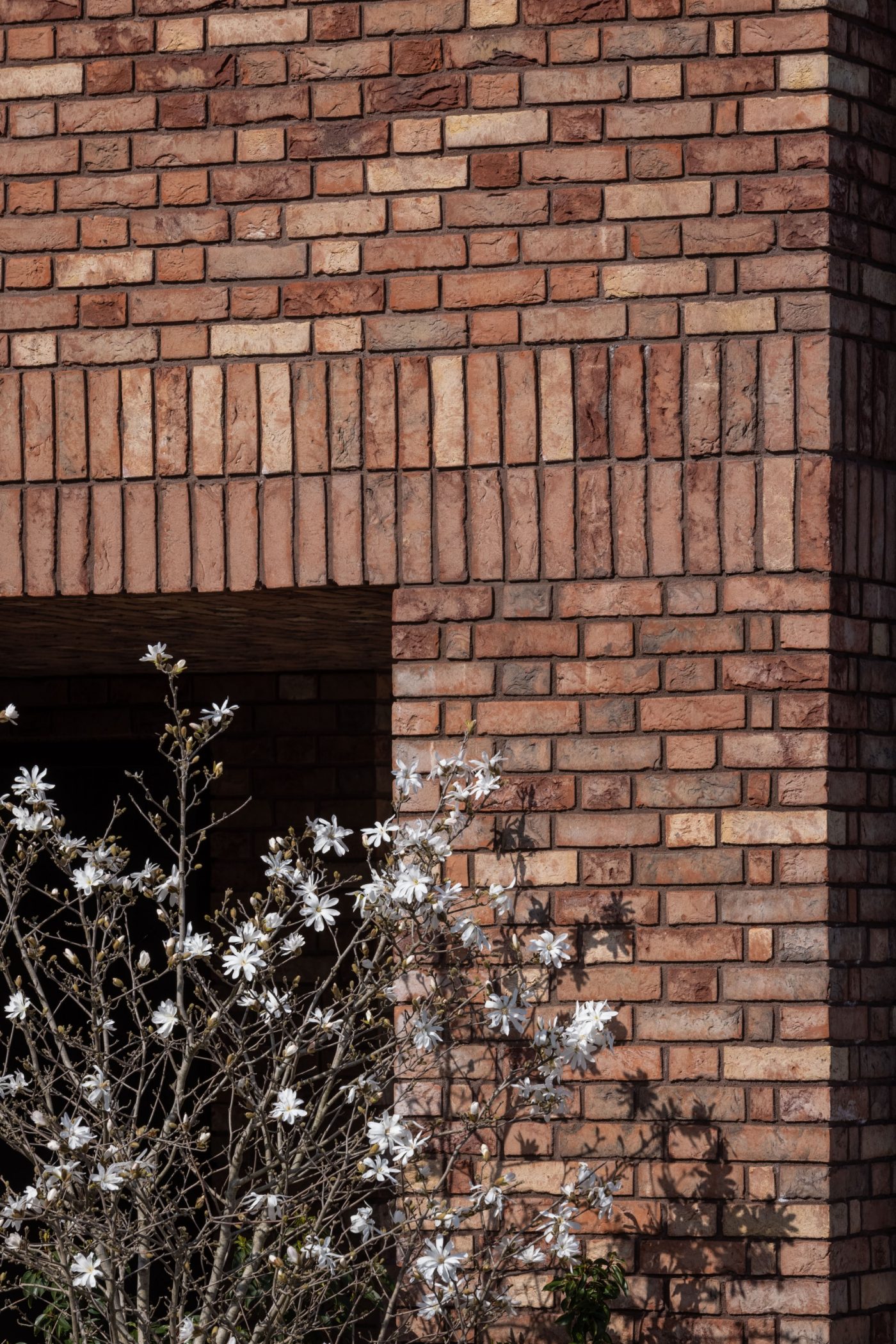 Buff coloured brick wall with purple flowers