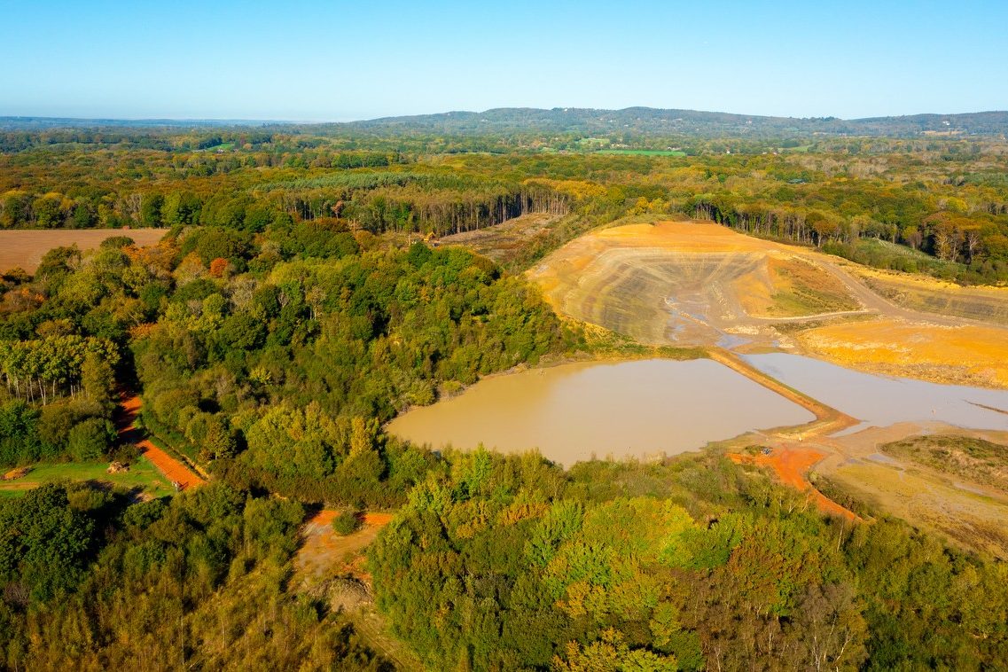 Mouselow Quarry new trees