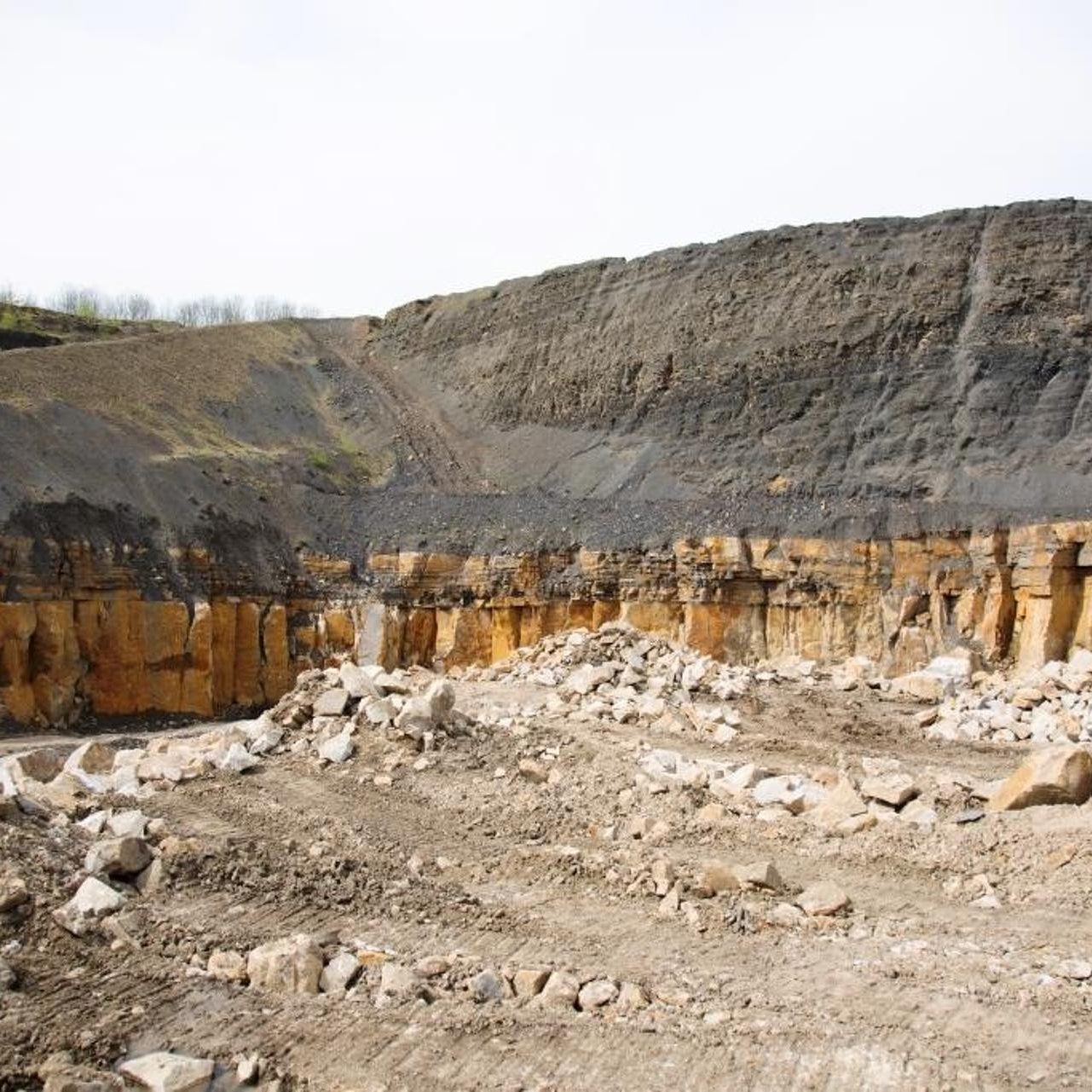Mouselow Quarry
