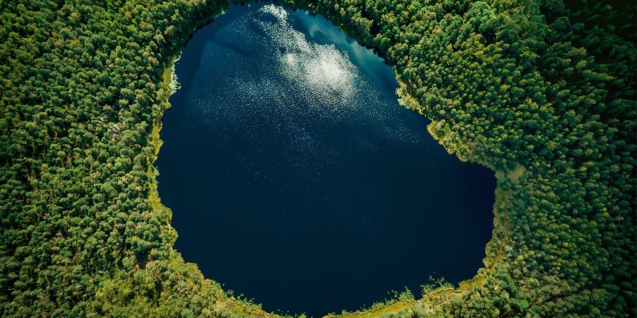 WOW Sustainability Report 