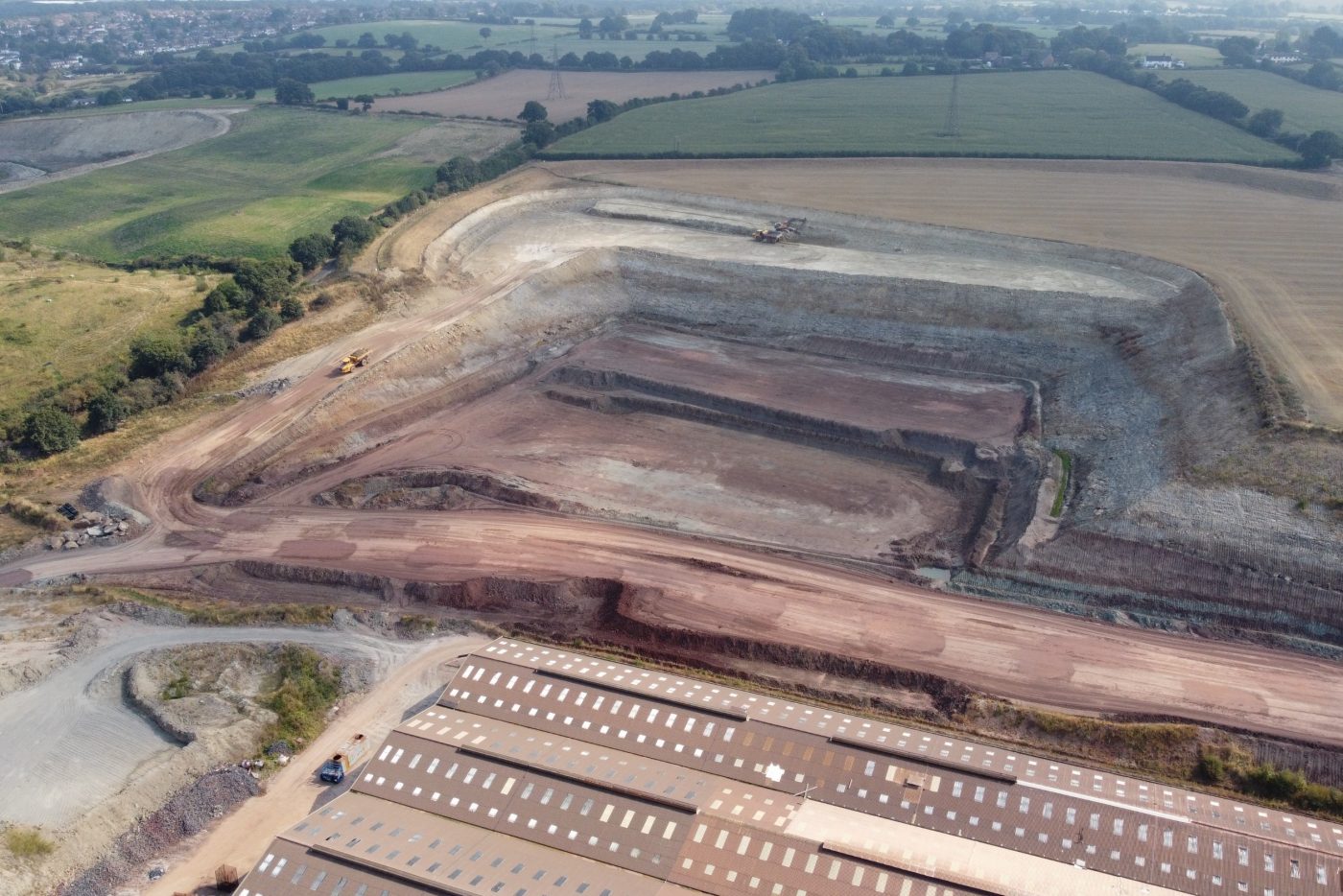 Mouselow Quarry new trees