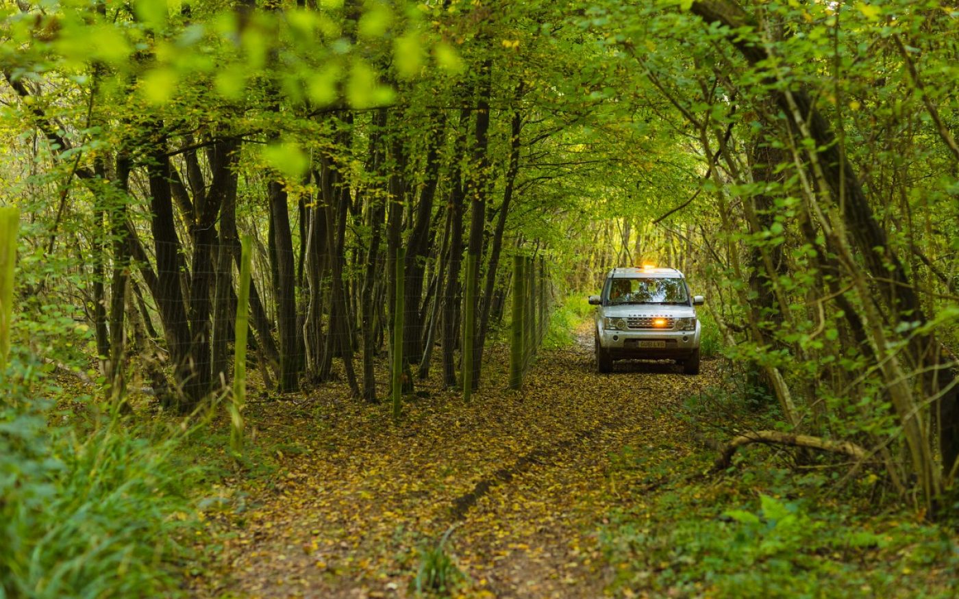 Land Rover driving through woodland at Ewhurst site