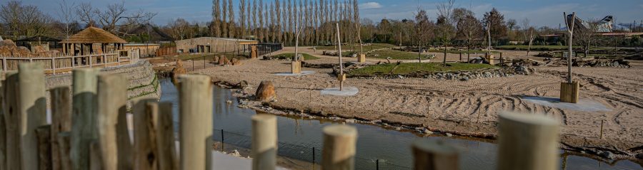 Chester Zoo: Heart of Africa