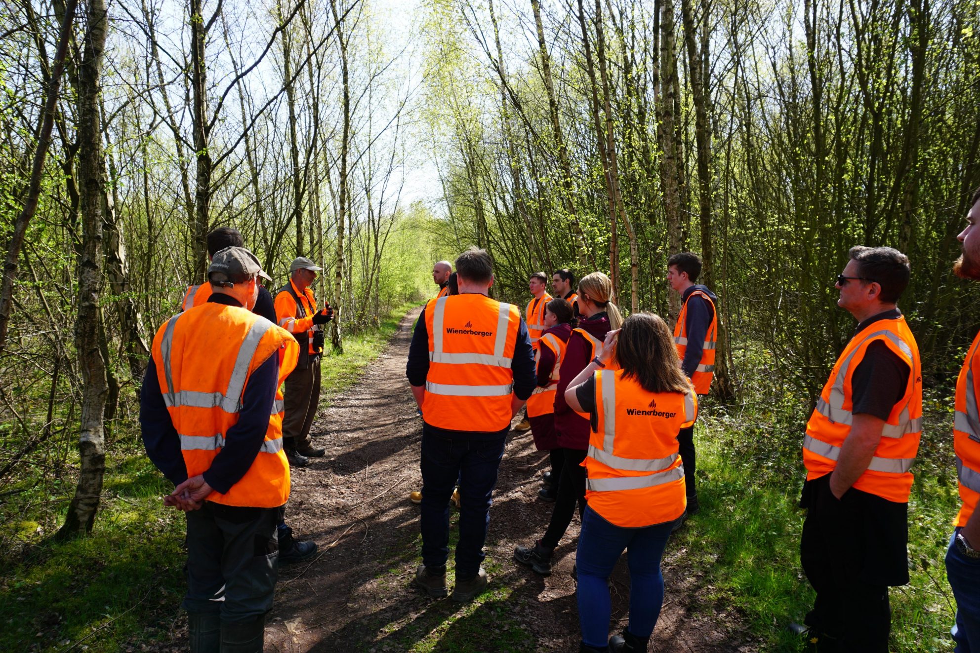 Building homes for birds at broomfleet