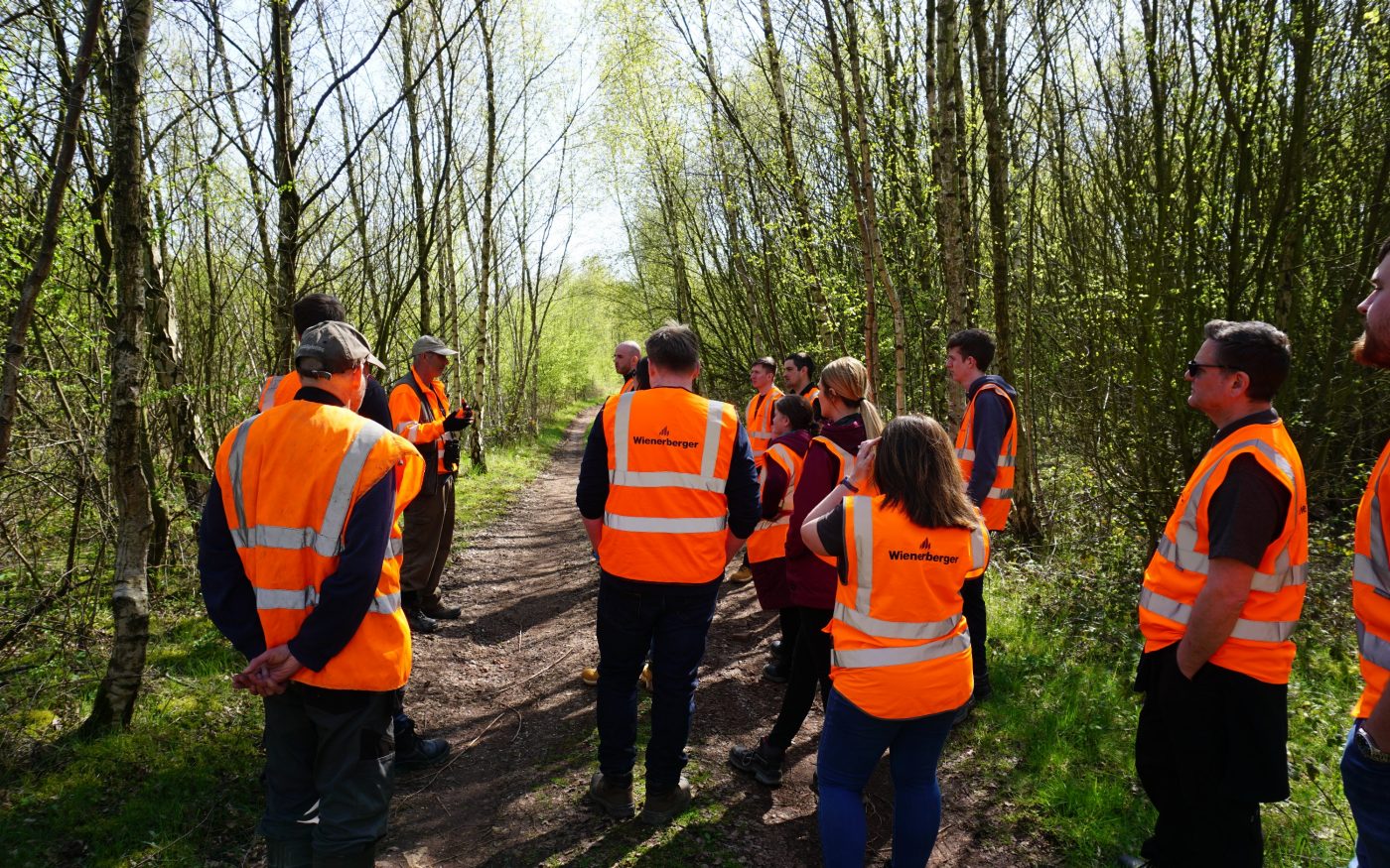 Broomfleet habitat for birds