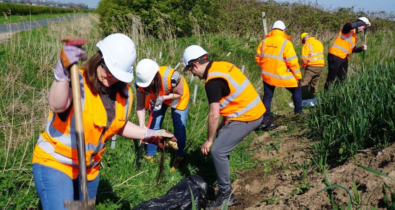 Group of colleagues in high viz jackets planting wild flower meadow on sunny day