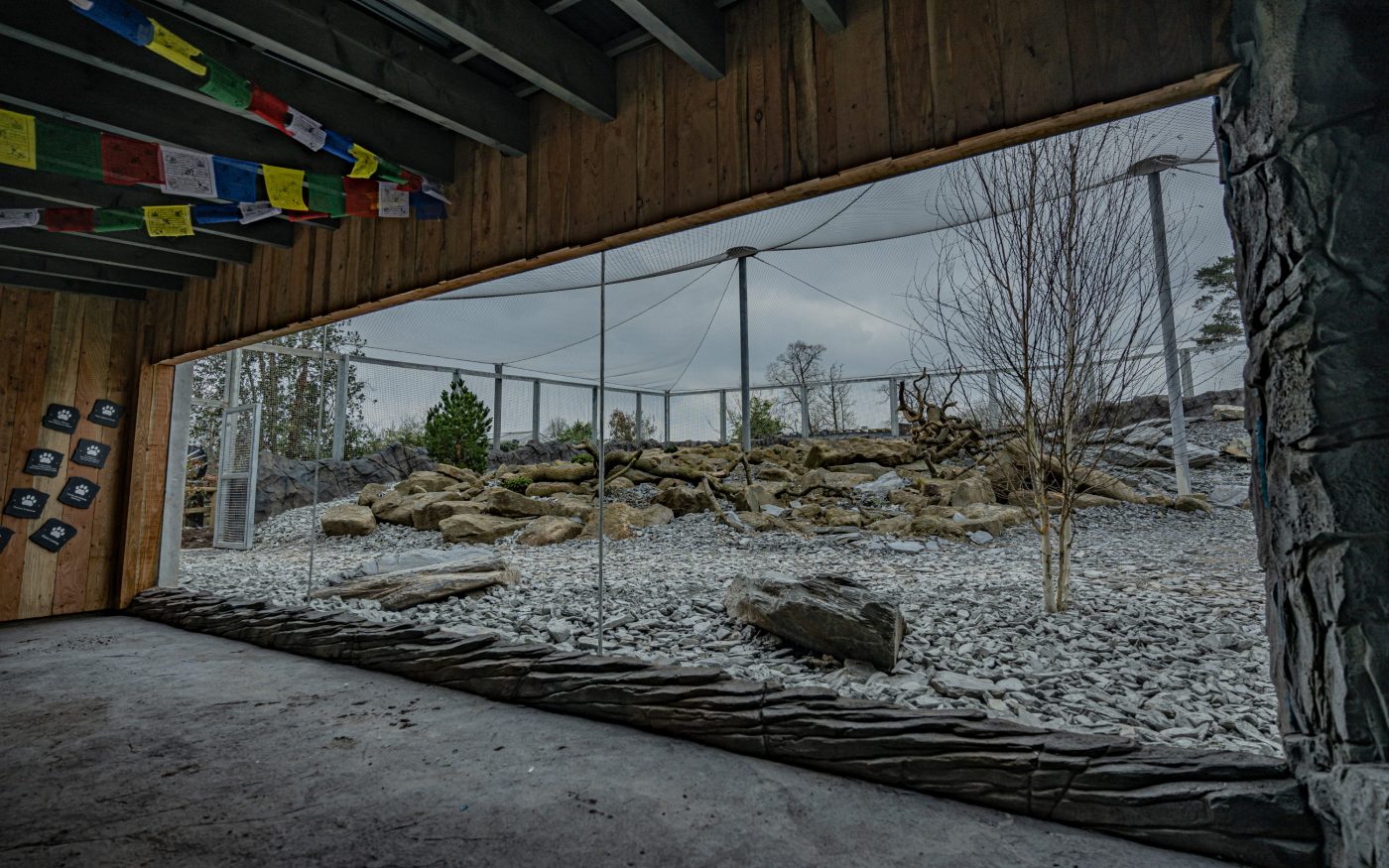 The habitat includes rocky outcrops, cave shelters, and air-cooled caves