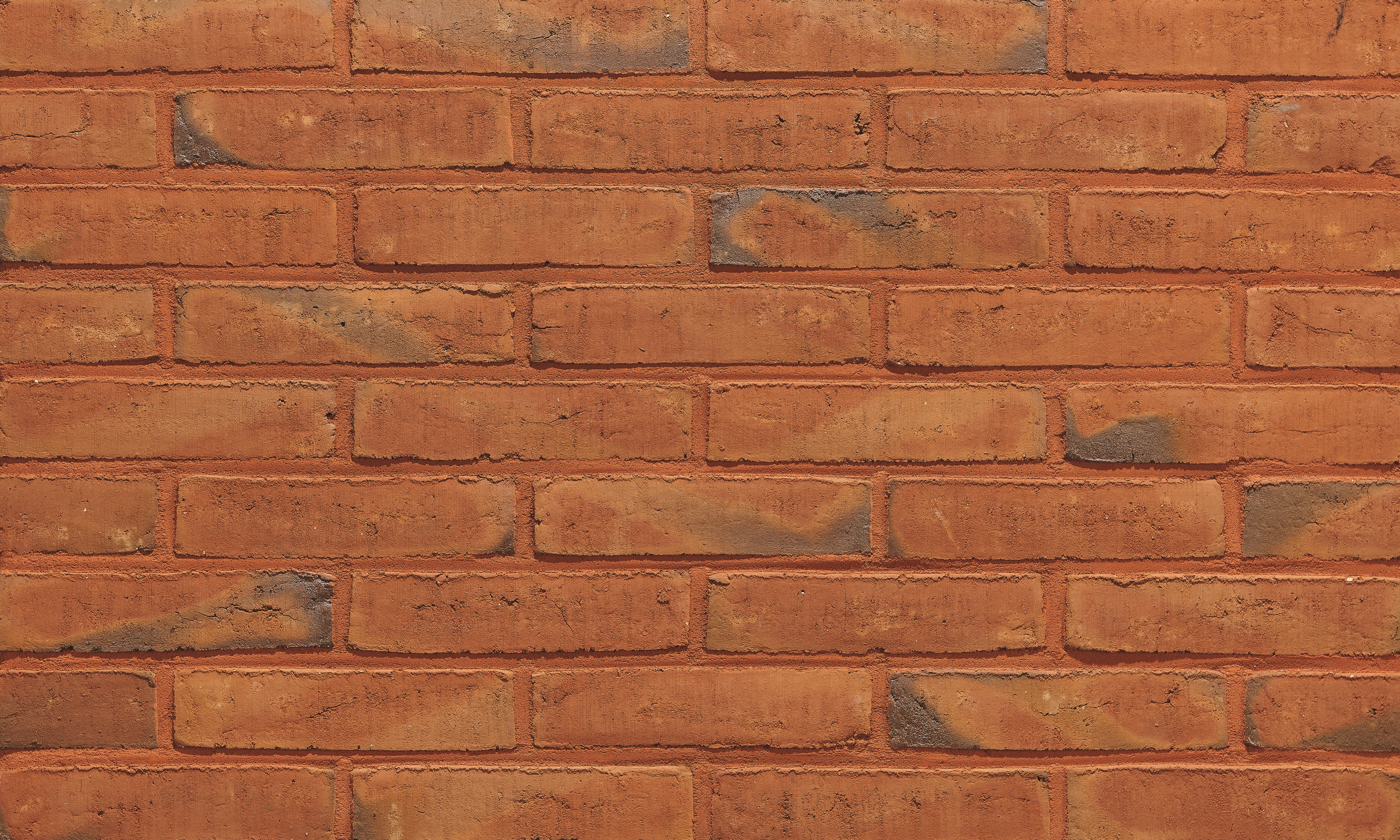 How do I choose the right brick and mortar colour