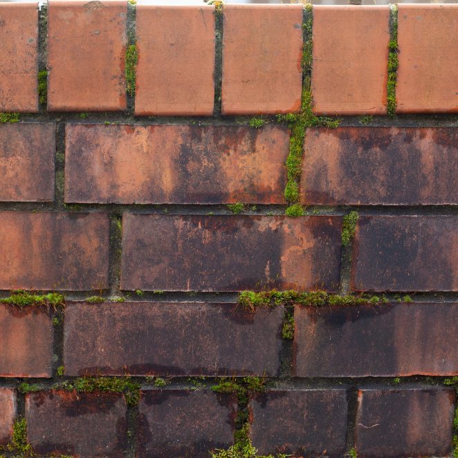 How to Clean Bricks & Brickwork Wienerberger UK