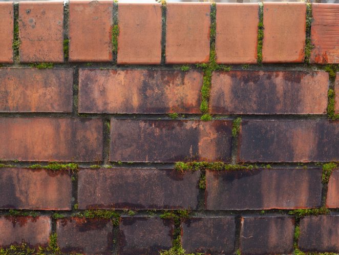 How to clean brick wall deals